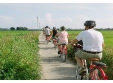 Hoi An Walking – Tra Que Village Cycling Tour | Hoi An Travel Tour
